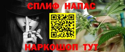 ешки Ставрополь